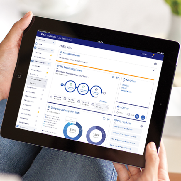 Visa Business Solutions Experience